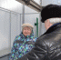 Хозяйство Екатерины Лисовол  к зимне-стойловому периоду готово - Бессоновский район